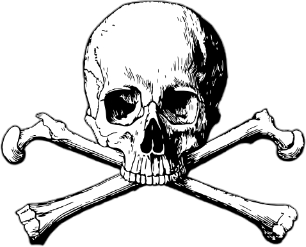 Pirate Skull